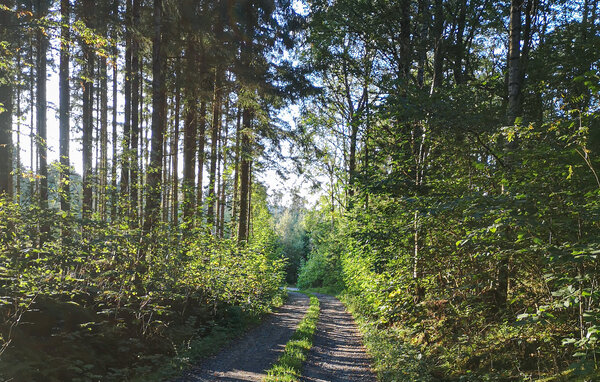 Ferienhaus - Hattestad/Berghem , Schweden - S50463 901