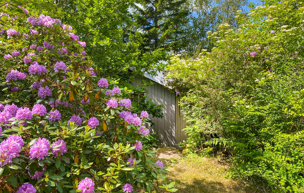 Feriehus - Aplared , Sverige - S50552 102