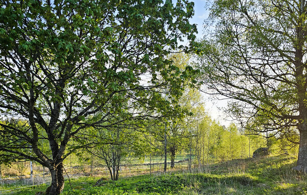 Semesterhus - Borås/Ulricehamn , Sverige - S50557 902