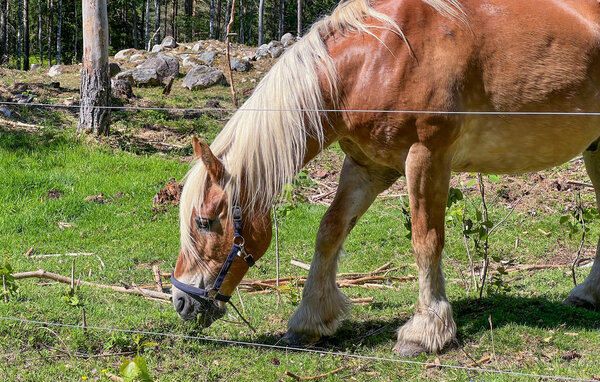 Casa de vacaciones - Kållslätt/Närkesberg , Suecia - S50598 104
