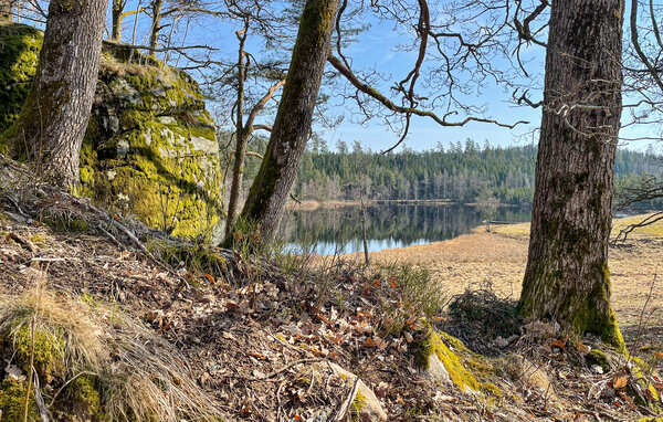 Ferienhaus - Mjöbäck , Schweden - S50635 902