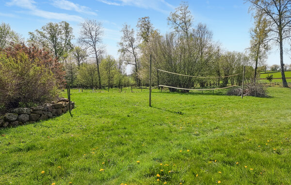 Ferienhaus - Broddetorp/Hornborgasjön , Schweden - S50685 801