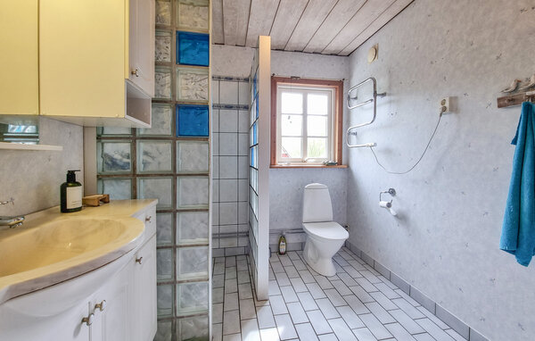 Ferienhaus - Broddetorp/Hornborgasjön , Schweden - S50685 702