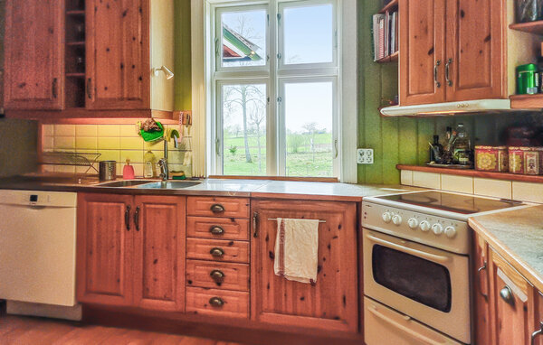 Ferienhaus - Broddetorp/Hornborgasjön , Schweden - S50685 401