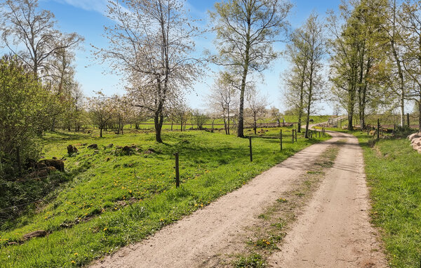 Ferienhaus - Broddetorp/Hornborgasjön , Schweden - S50685 81