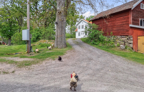 Semesterhus - Grästorp , Sverige - S50691 104