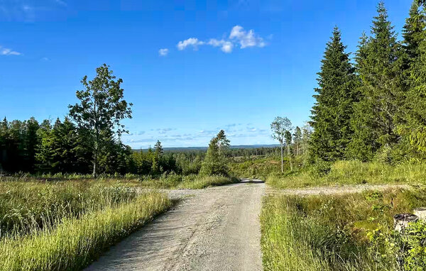 Location de vacances - Heden/Bengtsfors , Suède - S50704 901