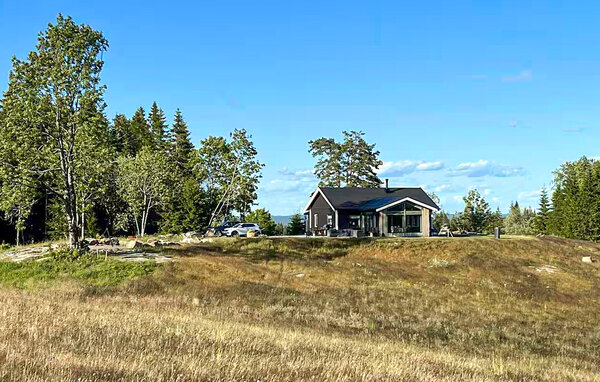 Location de vacances - Heden/Bengtsfors , Suède - S50704 81