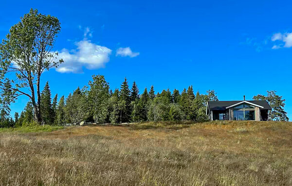 Location de vacances - Heden/Bengtsfors , Suède - S50704 82