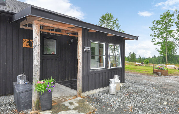 Location de vacances - Heden/Bengtsfors , Suède - S50704 101