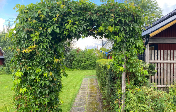 Semesterhus - Tranomo/Sjötofta , Sverige - S50707 102