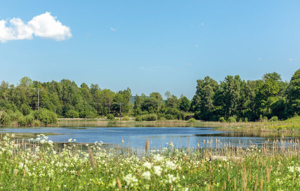 Semesterhus - Floby , Sverige - S50708 903