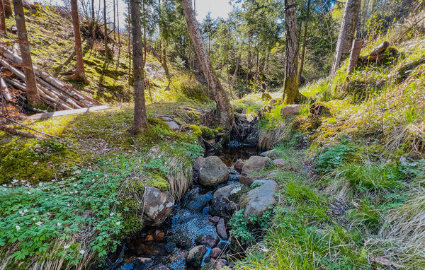 Ferienhaus - Bärfendal , Schweden - S50711 8