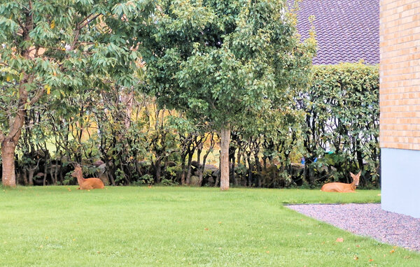 Apartament - Lindome/GÖteborg , Szwecja - S50885 101