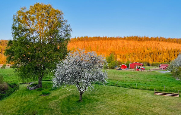 Semesterhus - Vänersnäs/Gaddesanna , Sverige - S50907 7