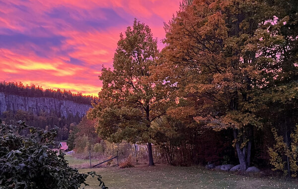 Semesterhus - Vänersnäs/Gaddesanna , Sverige - S50907 904