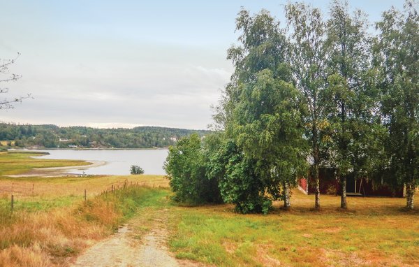 Domy wakacyjne - Hedekas , Szwecja - S54196 101