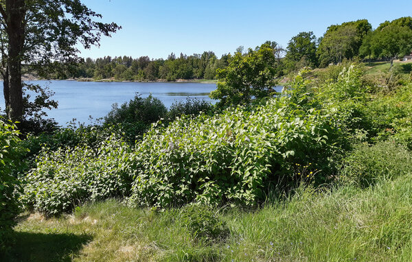 Feriebolig 