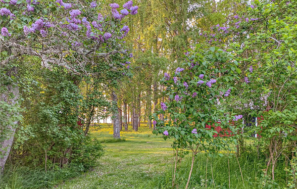 Feriehuse - Mellerud , Sverige - S57230 106