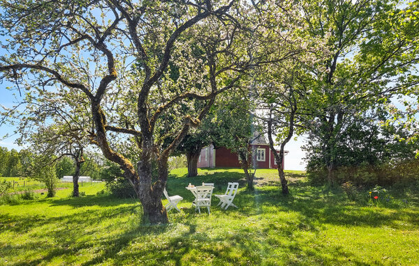 Ferienhaus - Mellerud , Schweden - S57281 103
