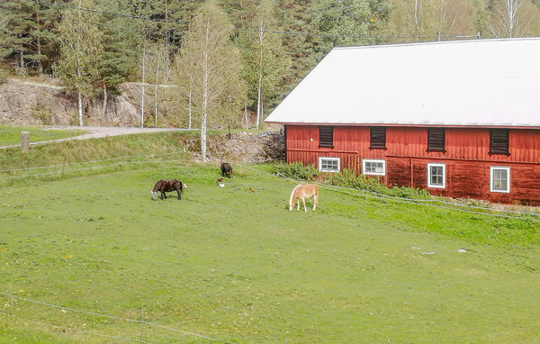 Semesterhus - Narebo Gård , Sverige - S60054 9