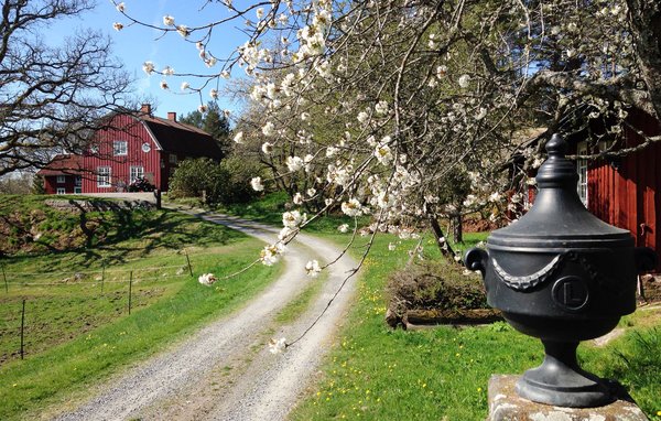 Semesterhus - Narebo Gård , Sverige - S60054 106
