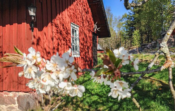 Semesterhus - Narebo Gård , Sverige - S60054 107
