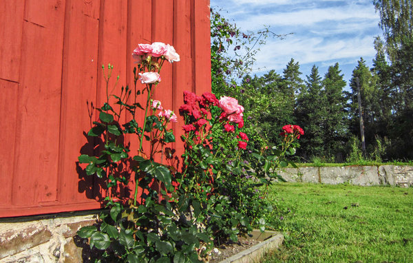 Semesterhus - Narebo Gård , Sverige - S60054 108