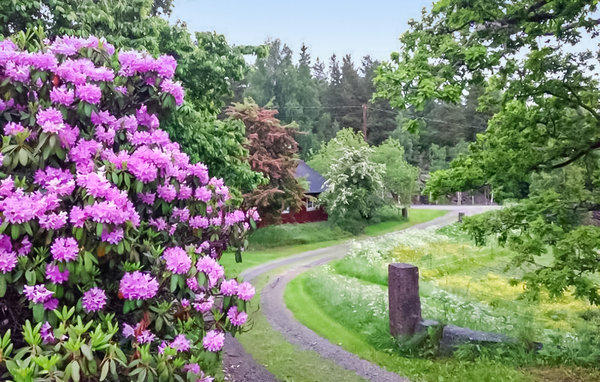 Semesterhus - Narebo Gård , Sverige - S60054 109