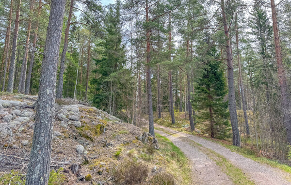 Domy wakacyjne - Ydre , Szwecja - S60249 8