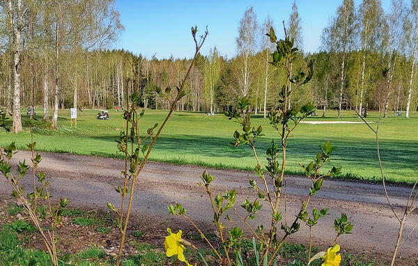 Semesterhus - Mjölby , Sverige - S60268 7