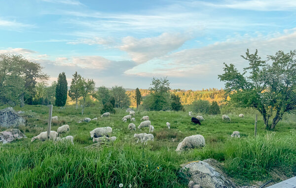 Kuća-za-odmor - Ydre Tranås , Svedska - S60286 202