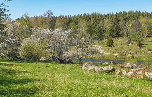 Semesterhus - Åtvidaberg Kisa , Sverige - S60289 901