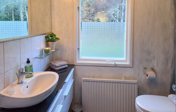 Vakantiehuis - Boxholm/Mjölby/Tranås , Zweden - S60294 701