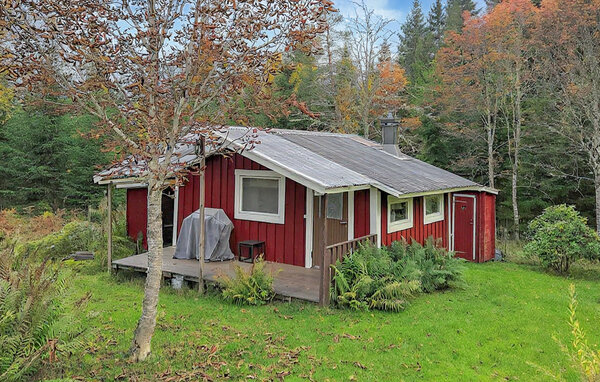 Vakantiehuis - Boxholm/Mjölby/Tranås , Zweden - S60294 2