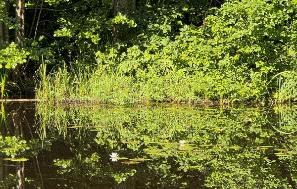 Semesterhus - Nyköping Norrköping , Sverige - S60298 102