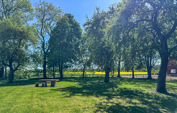 Semesterhus - Ödeshög Vadstena , Sverige - S60404 6