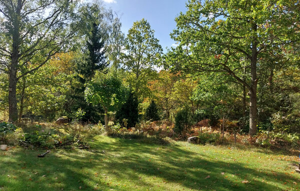 Domy wakacyjne - Boxholm Tranås , Szwecja - S60413 103