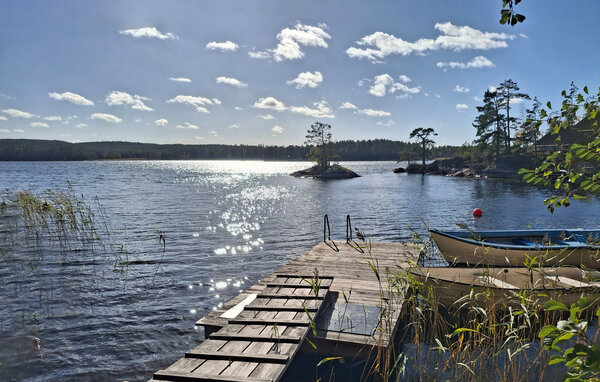 Domy wakacyjne - Boxholm Tranås , Szwecja - S60413 9