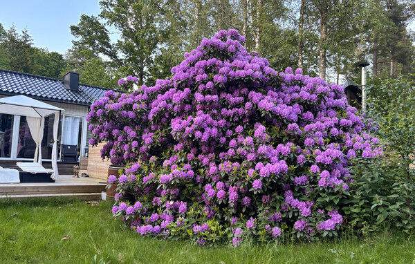 Domy wakacyjne - Motala , Szwecja - S60414 101