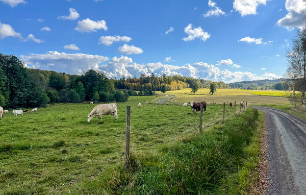 Semesterhus - Askersund/Norra Hunna , Sverige - S64125 901