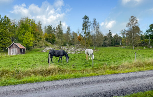 Semesterhus - Askersund/Norra Hunna , Sverige - S64125 903