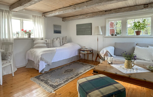 Semesterhus - Askersund/Norra Hunna , Sverige - S64125 5