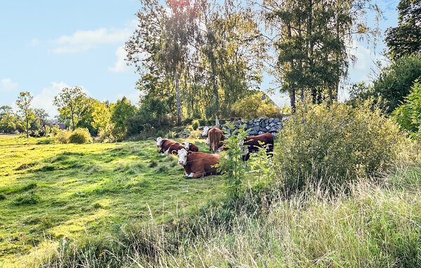 Ferienhaus - Flen , Schweden - S67252 904