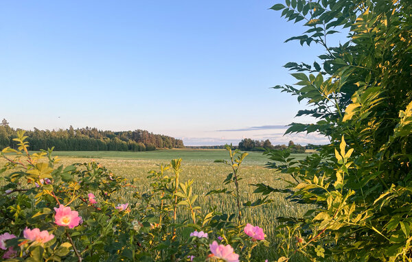 Feriehus - Eskilstuna , Sverige - S67258 201