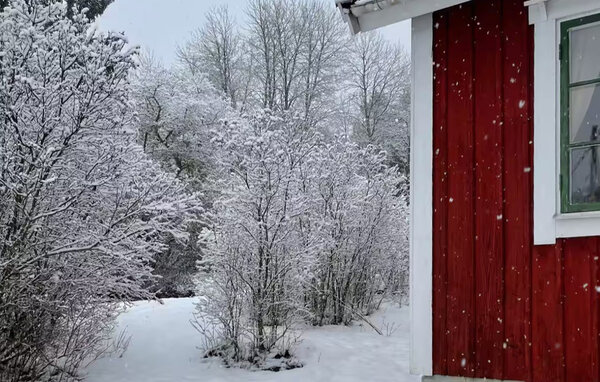 Ferienhaus - Uppsala/Norrtälje/Stockholm , Schweden - S70456 9