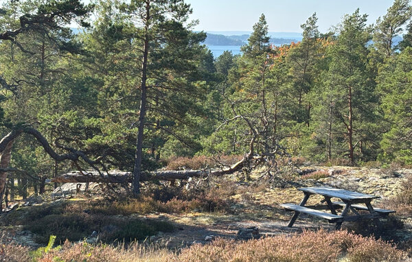 Ferienhaus - Ornö / Stockholms skärgård , Schweden - S70514 4