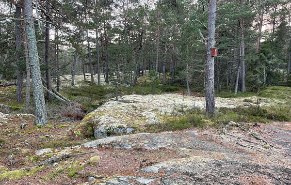 Ferienhaus - Blidö , Schweden - S70576 101