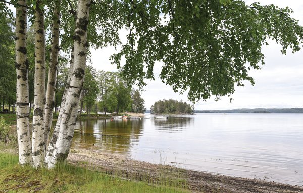 Ferienhaus - Årjäng , Schweden - S73181 102