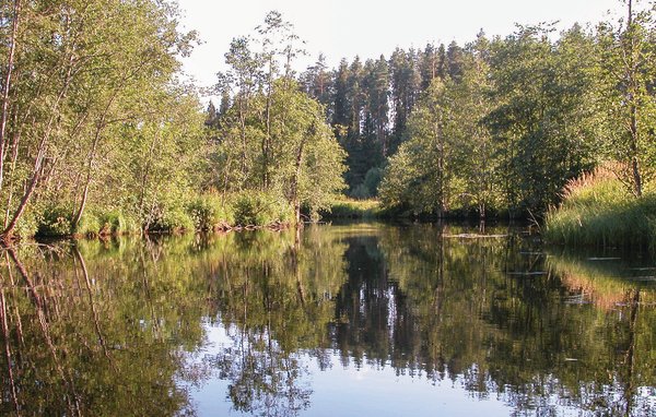 Ferienhaus - Filipstad , Schweden - S73183 2